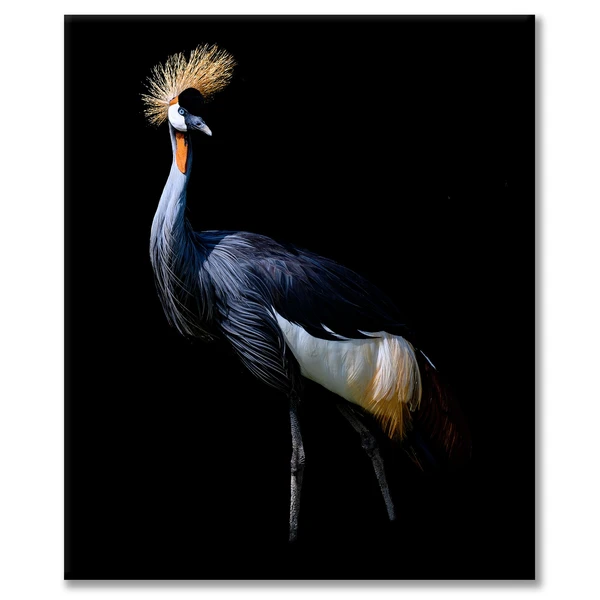 Ready For My Close Up 1 1 Ready For My Close Up 1