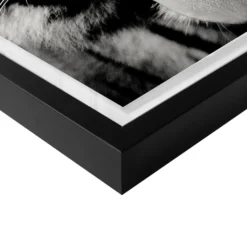 Wild Tiger 8 Wild Tiger -LOVESE Furniture Shop webimage 630164770 630133051 DTL2