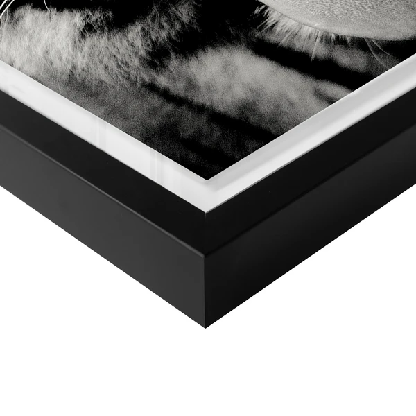 Wild Tiger 4 Wild Tiger - Image 4