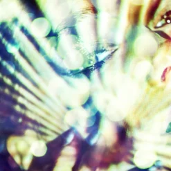 Disco Girl -LOVESE Furniture Shop webimage 630189642 630180499 DTL1