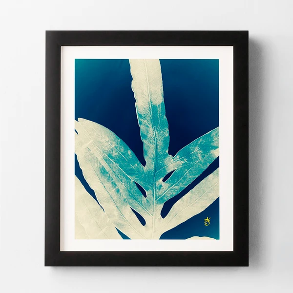 Green Fern 1 Green Fern