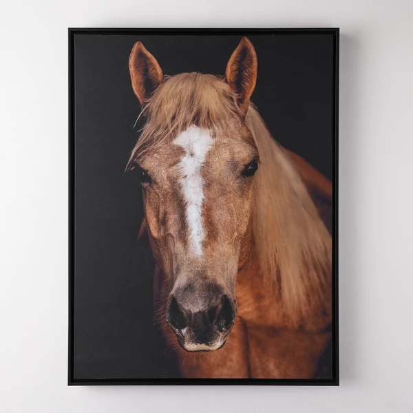 Horse In Town 9 1 Horse In Town 9