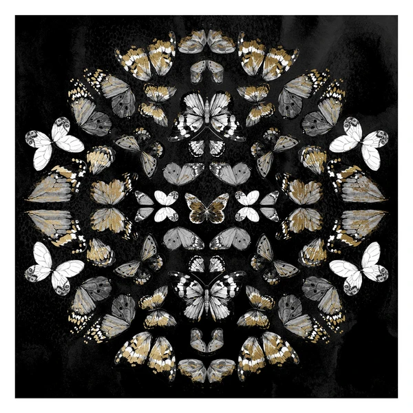 Butterfly Knight 1 Butterfly Knight