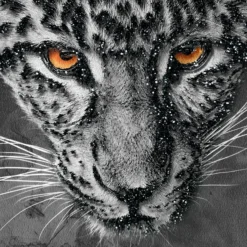 Leopard Spots -LOVESE Furniture Shop webimage 630371298 630311422 630301417 DTL1 1