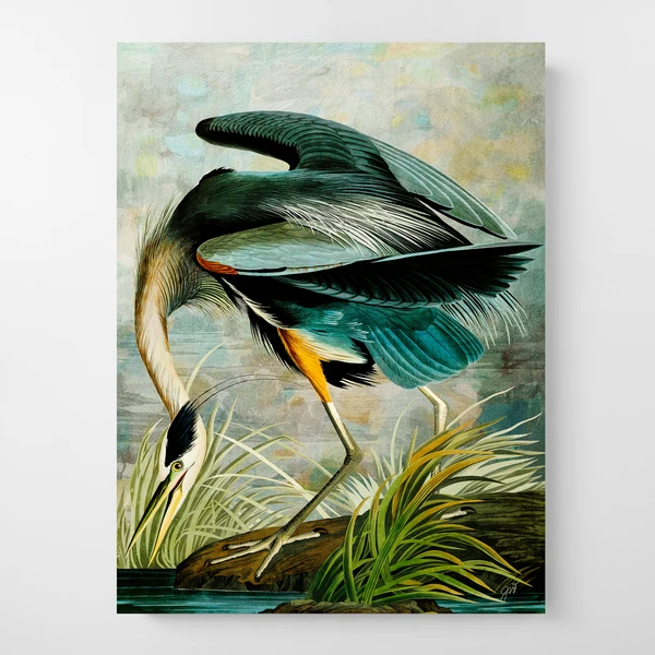 Curiosities 8 1 Curiosities 8