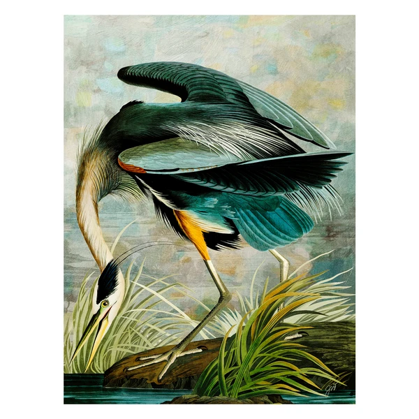 Curiosities 8 3 Curiosities 8 - Image 3