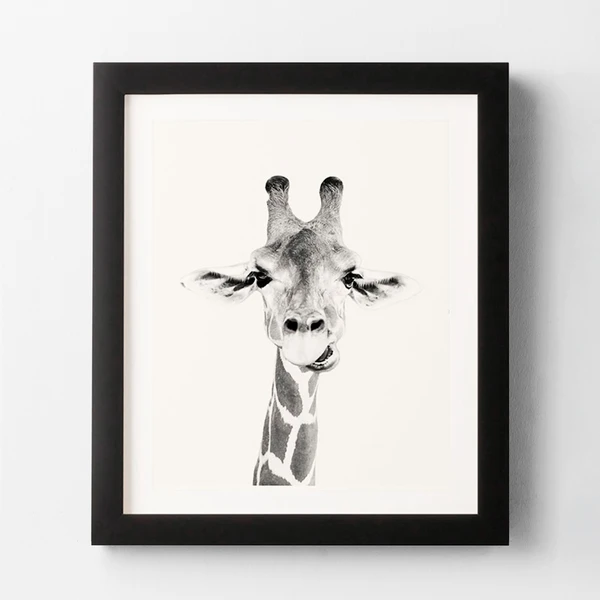 Happy Giraffe 1 Happy Giraffe