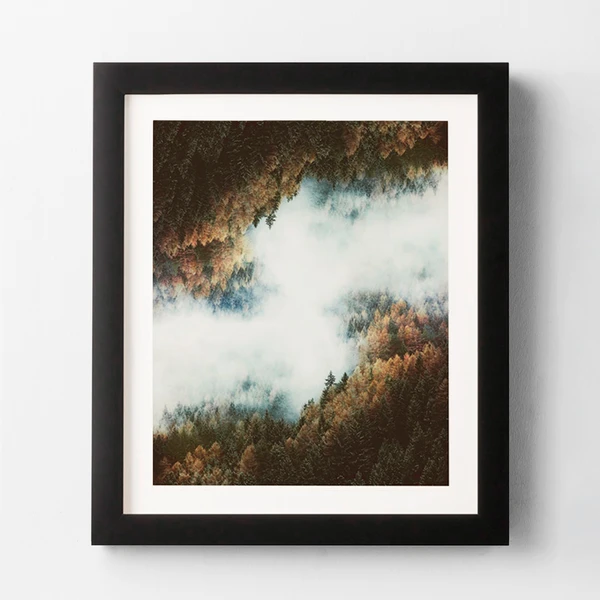 Forest Layers 1 Forest Layers