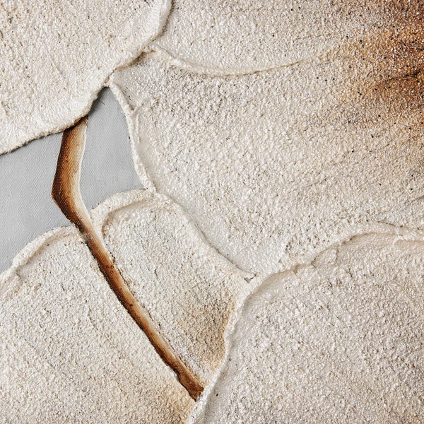 Elegance Blooms II 5 Elegance Blooms II - Image 5