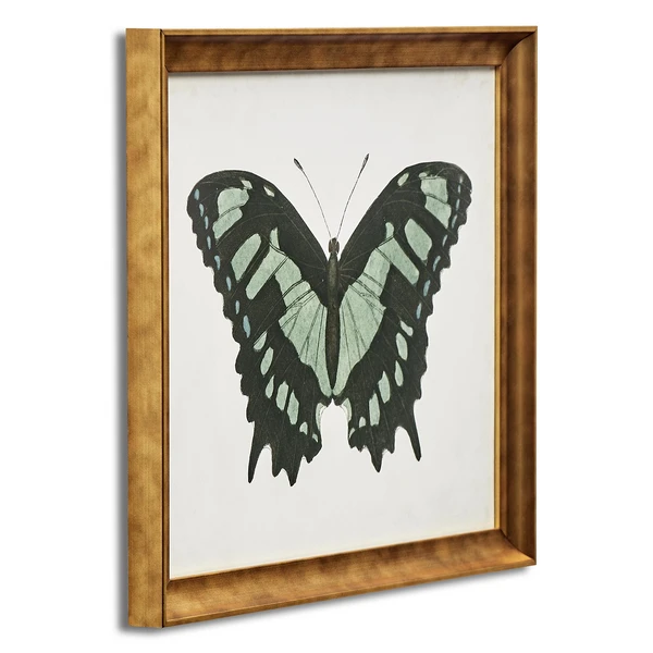 Beautiful Butterfly 2 2 Beautiful Butterfly 2 - Image 2