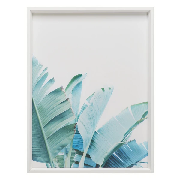 Palmetto Bay 2 1 Palmetto Bay 2