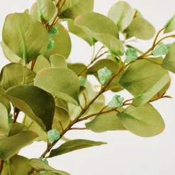 Eucalyptus Spray - Set Of 3 -LOVESE Furniture Shop webimage 999172481 dtl