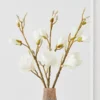 Faux Magnolia Stem - Set Of 3