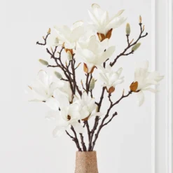 Velvet Magnolia - Set Of 3