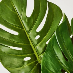 Faux Small Split Philo Leaf - Set Of 3 -LOVESE Furniture Shop webimage 999904554 dtl